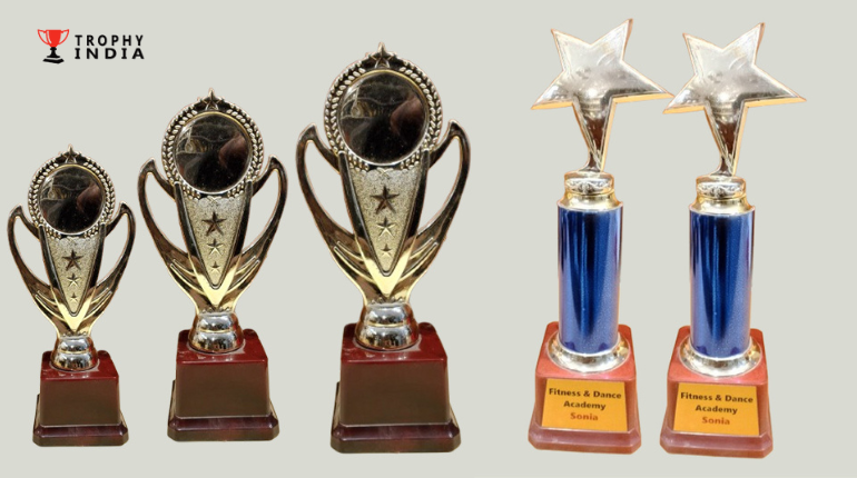 Trusted Sports Trophy Manufacturers for Every Game and Glory - TrophyIndia