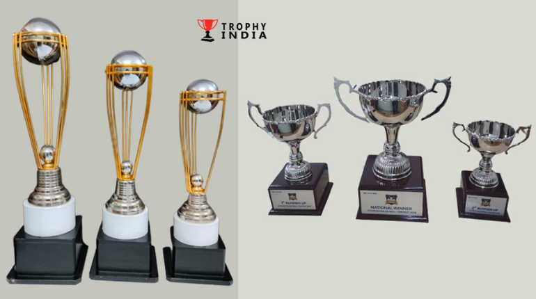 India’s Trusted Trophy & Cup Manufacturer – Quality Awards by Trophy India