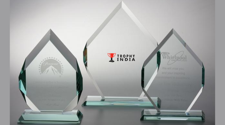 Customized Corporate Trophies In India That Recognize And Inspire -TrophyIndia