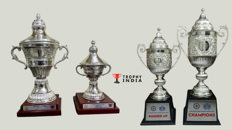 Pure Silver Trophy Manufacturers in India Crafting Excellence in Every Detail - TrophyIndia