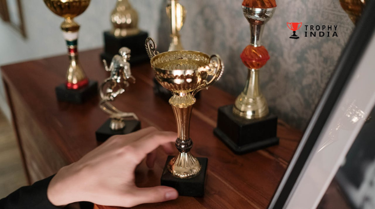 Customized Trophy Manufacturer Delivering Unique Awards for Every Achievement -TrophyIndia