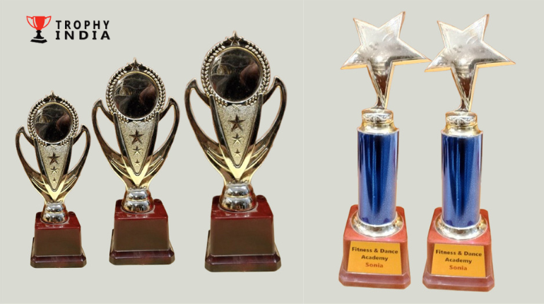 High-Quality Fibre Trophy Manufacturers Crafting Durable, Stylish, and Custom Awards for Corporate, Sports, and School Events