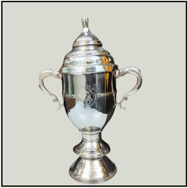 Pure Silver Cup