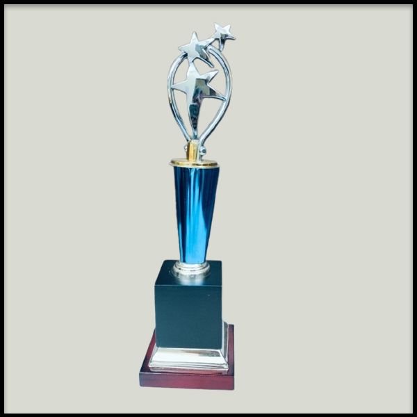 Corporate Award Trophy