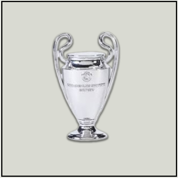 Pure Silver Trophy with Black Base