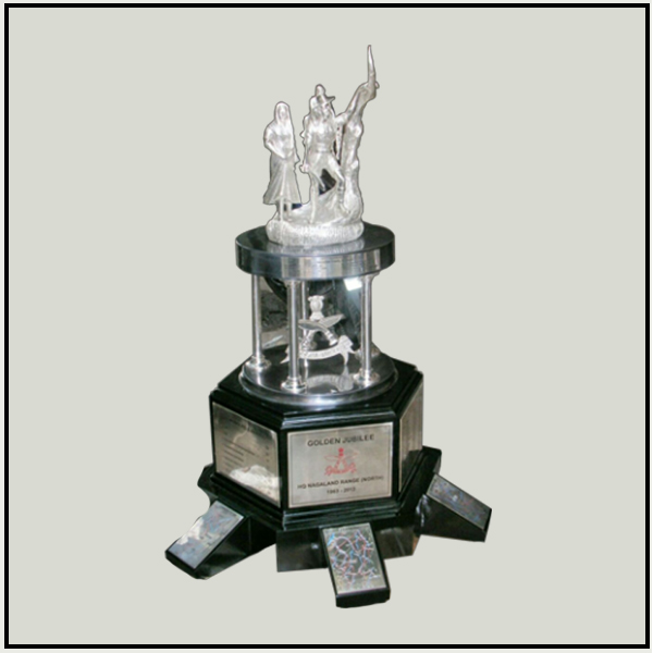 Customized Trophy