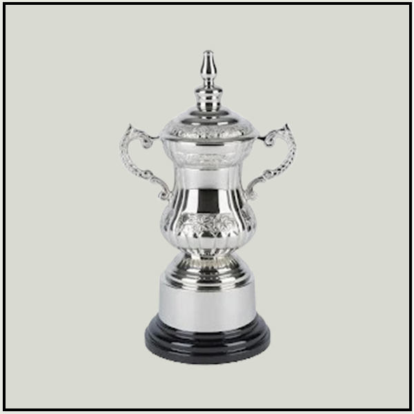 Pure Silver Trophy with Black Base