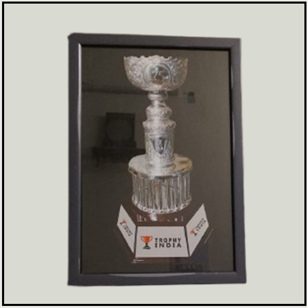 Certificate Frame Black with mount 002