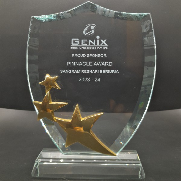 Crystal Shield Award