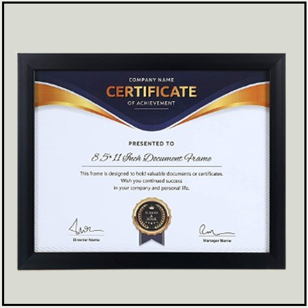 Certificate Frame Black with mount 002
