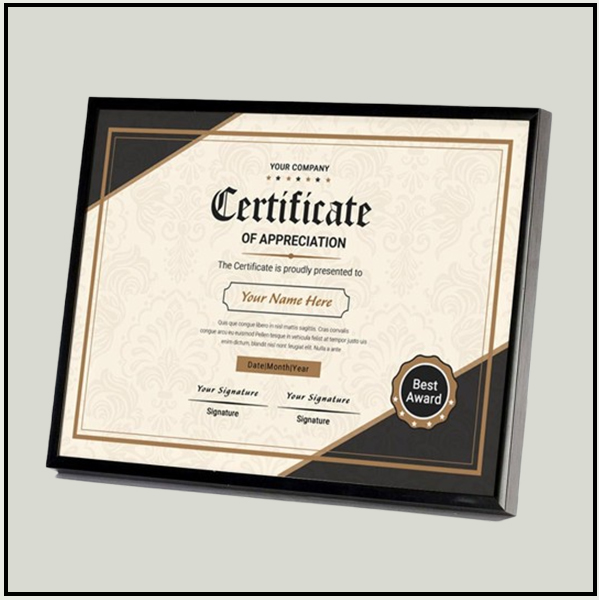 Certificate Frame Black with mount 004
