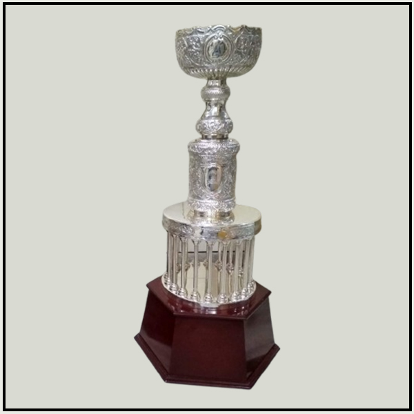 Classic Metal Pillar Cup Trophy for Cricket & Football Events